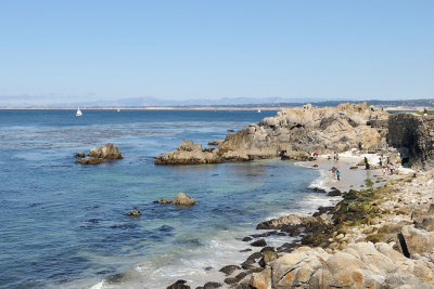 DSC_0352.jpg