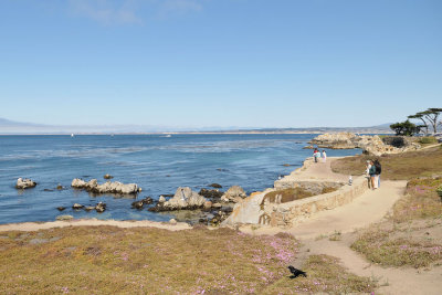 DSC_0410.jpg