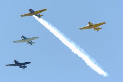 _DSC7365.jpg