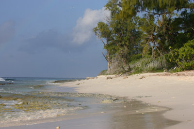 Aride Island beach