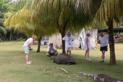 Curieuse Island Aldabra Giant Tortoise & tourists