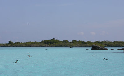 Aldabra lagoon