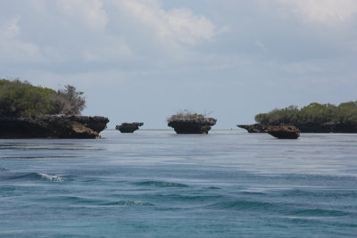 Aldabra lagoon West Channel