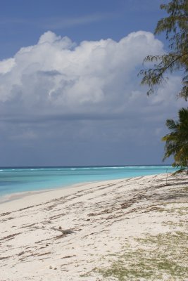 Picard beach Aldabra