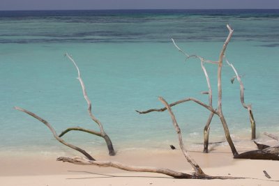 Picard beach Aldabra