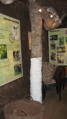 Ylang-Ylang Eco Museum, Mayotte IMG_1007