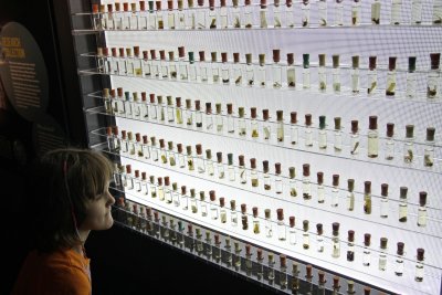 168 Spiders