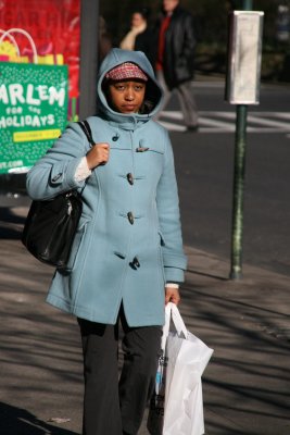 A Very Cold Day in NYC