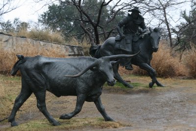 Stray Cattle