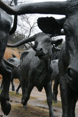 Longhorns