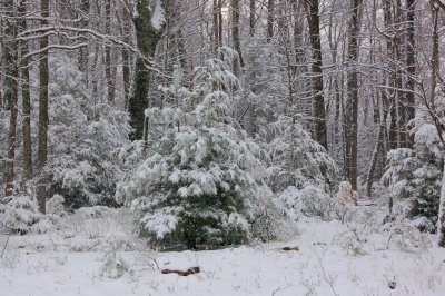 DSC_2792.jpg