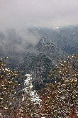 DSC_2936.jpg