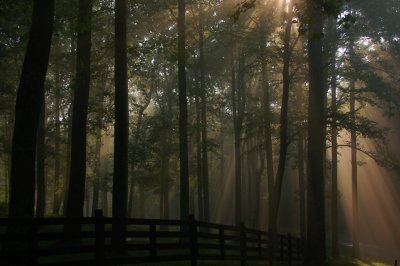 Primlands Morning Fog high above in the Blue Ridge Mountains By:Barry Towe Photography