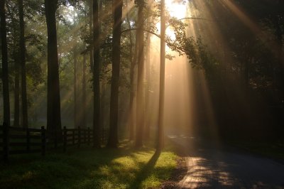 Primlands Morning Fog high above in the Blue Ridge Mountains By:Barry Towe Photography