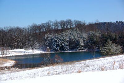 DSC_0172.jpg