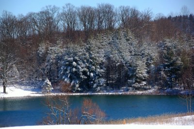 DSC_0170.jpg