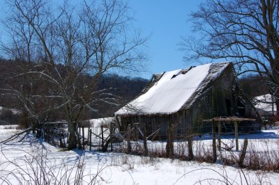 DSC_0216.jpg