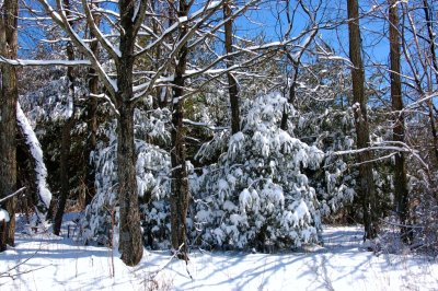DSC_0184.jpg