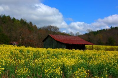 DSC_1110.jpg