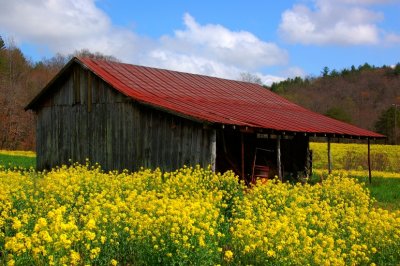 DSC_1121.jpg