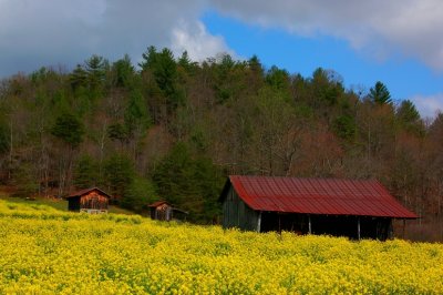 DSC_1122.jpg