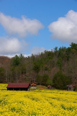 DSC_1133.jpg