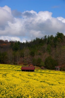 DSC_1137.jpg