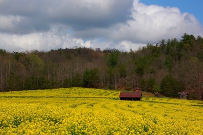 DSC_1145.jpg