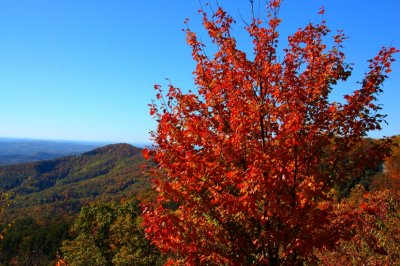 DSC_7846.jpg