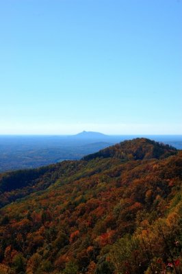DSC_7919.jpg