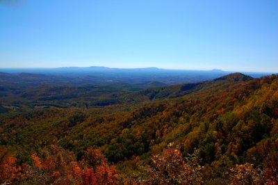 DSC_7920.jpg