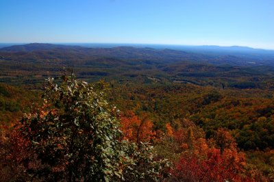 DSC_7921.jpg