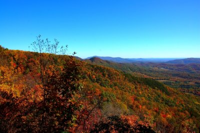 DSC_7918.jpg