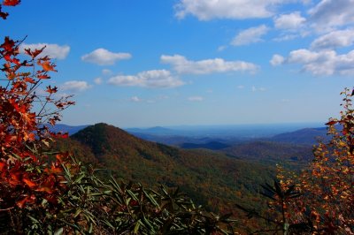 DSC_7964.jpg