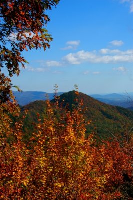 DSC_7972.jpg