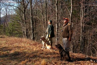 Bird Dogs and thier Handlers at Primland on Euro Hunts