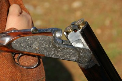 Some of the Finest Upland Bird Hunting Gun's in the World By:Barry Towe Photography