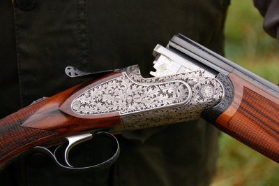 DSC_1010.jpg