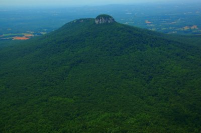 DSC_2490.jpg
