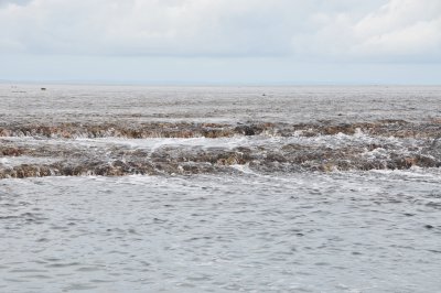 Tidal sea rushing off the Montgomery Reef