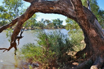Eringa Waterhole