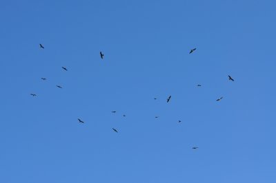 g4/14/826614/3/138060483.Iv6Xh5CA.jpg