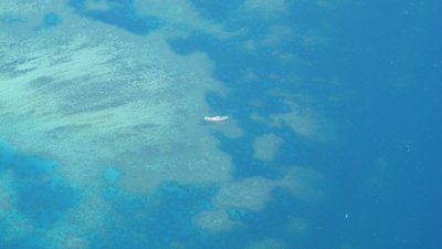 Wreck on the GBR