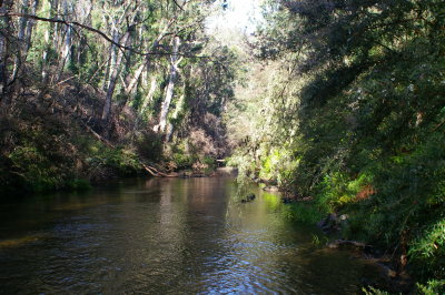 King River, Pineapple Flat