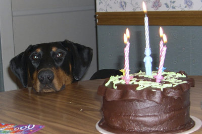 Lola wanting her cake