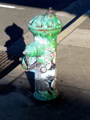 Grants Pass Walk -Fire Hydrant