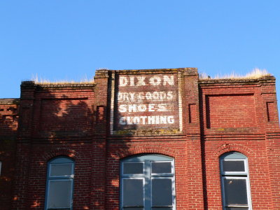 Dixon Dry Goods -- Hair on the roof