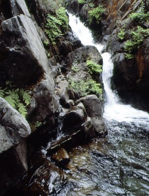 Fern Falls California