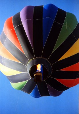 Gilroy Balloon Flight