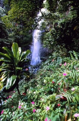Maui falls Near Seven Pools